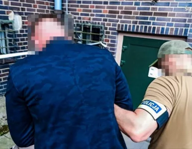 Miniatura: Były dziennikarz TVN i nieślubny syn...