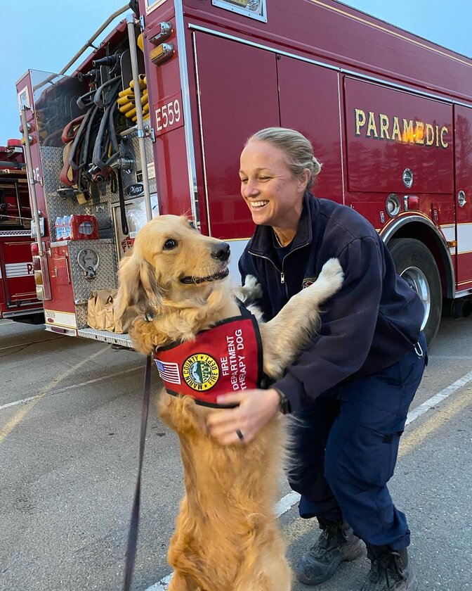 kerith_the_golden_retriever 