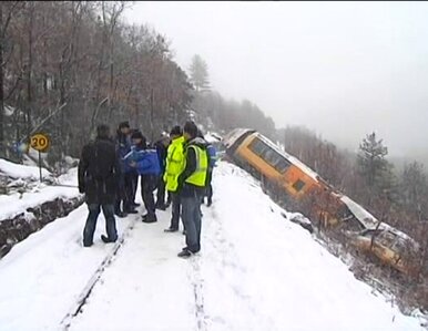 Miniatura: Wykoleił się pociąg we francuskich Alpach....