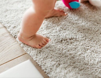 Miniatura: Posyp dywan tym proszkiem i odkurz po pół...