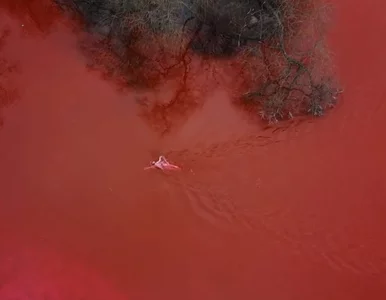 Miniatura: Mistrzyni olimpijska przepłynęła „krwawy...