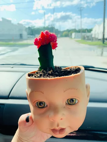 Takiej doniczki jeszcze nie widzieliśmy 