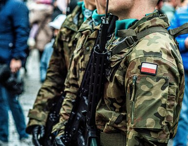 Miniatura: Szokujące zarzuty wobec oficera AWL. Miał...