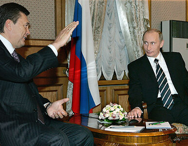 Miniatura: Janukowycz pozwoli rosyjskiej flocie...