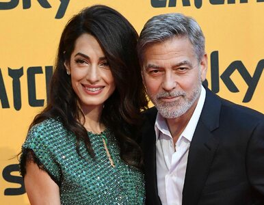 Miniatura: George Clooney rozdał 14 mln dolarów....