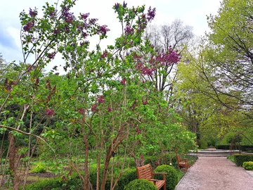 Ogród Botaniczny Uniwersytetu Warszawskiego w Warszawie 