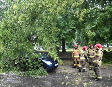 Miniatura: Potężne burze w Polsce. Strażak rażony...