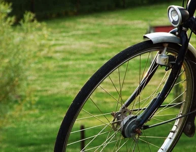 Miniatura: Lekcje ekologii we Włoszech: uczniowie...