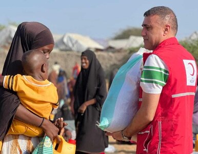 Miniatura: W „kraju głodu, biedy i piratów” odkryto...