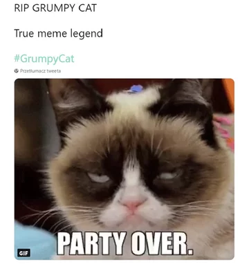 Prawdziwa legenda memów 