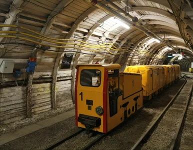 Miniatura: Turyści wejdą do podziemnych tuneli....