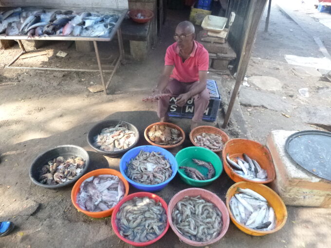 Indie - targ z rybami