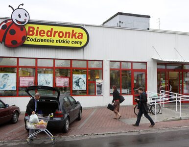 Miniatura: Biedronki mnożą się jak króliki. Będą ich...