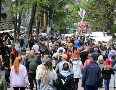 Miniatura: Łania zaatakowała dziecko w centrum...