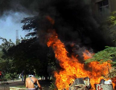 Miniatura: "Zwolennicy terrorystów" spalili kampus....