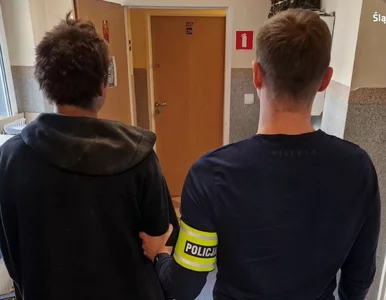 Miniatura: Pożar Przystani Ocalenie poruszył...