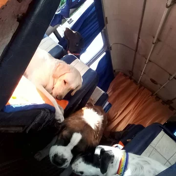 León Dario Sipes i jego podopieczni 