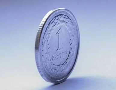 Miniatura: Złoty się umacnia. "Wynik wyborów nie był...