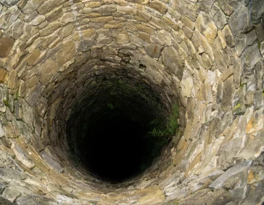 Miniatura: Makabryczne odkrycie pod Węgrowem. Ciało...