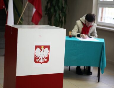 Miniatura: Wyniki wyborów samorządowych w II turze w...