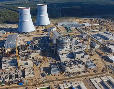 Jak polskie firmy chcą budować elektrownię jądrową. „Nie będziemy...