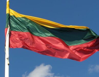 Miniatura: Litwa: Polacy wyrzuceni z rządu