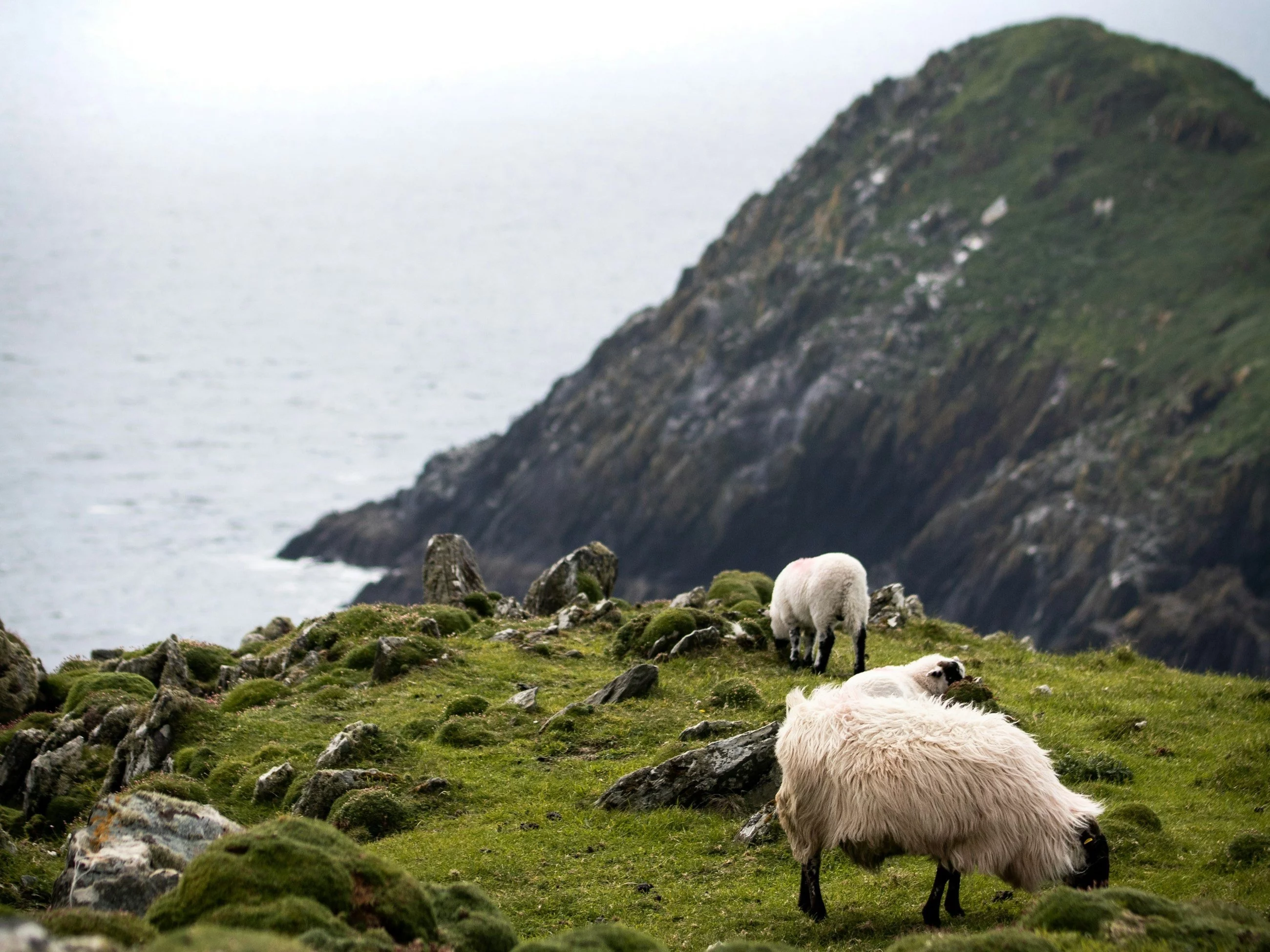 Szybki quiz z wiedzy ogólnej. Odpowiedzi na te pytania powinien znać każdy