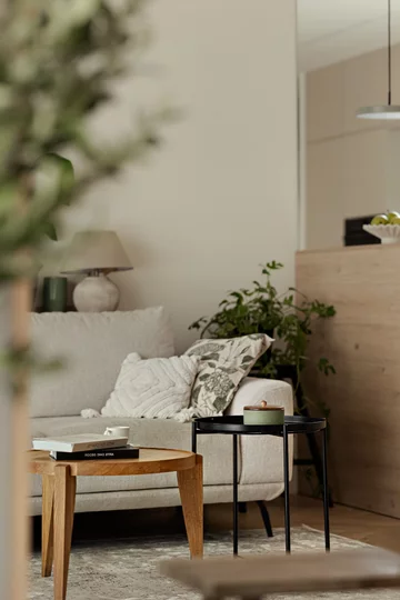 Japandi w Katowicach – harmonia prostoty i natury, projekt Avo Architekci 