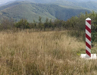 Miniatura: Coraz bliżej utworzenia europejskiej...