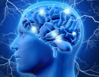 Miniatura: Implant mózgu, który „czyta myśli”. To...