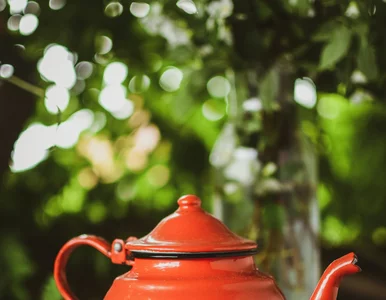 Miniatura: Co to za przedmioty? Chylimy czoła, jeśli...