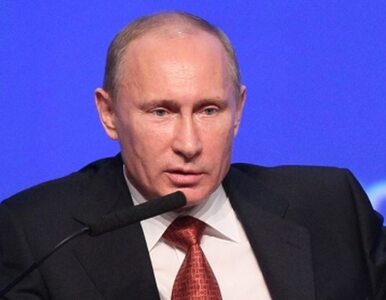 Miniatura: Putin o wyroku Pussy Riot: dostały to,...