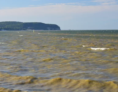 Miniatura: Popularne kąpieliska zamknięte....