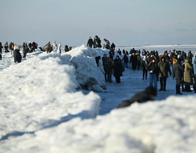 Miniatura: „Kryształy” i zamarznięte molo nad...