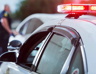 Miniatura: Makabryczne odkrycie w Kolorado. Ciało...