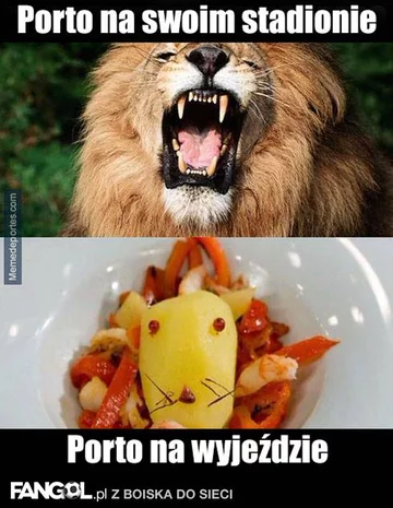 fot. fangol.pl