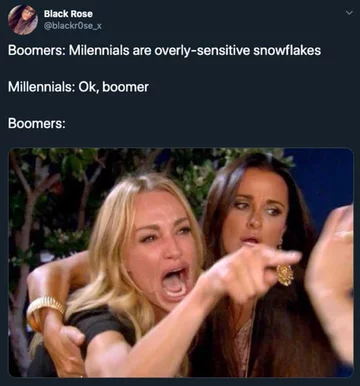 Mem do hasła „OK boomer” 