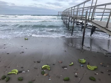 Plaża na wyspie Samso 