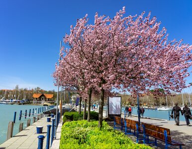 Miniatura: Kraj w sercu Europy pobił turystyczny...