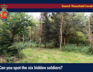 Miniatura: Ilu żołnierzy widzicie na zdjęciu? To...