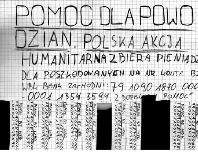 Miniatura: Polak potrafi. Zarobić