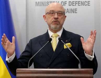 Miniatura: Minister obrony Ukrainy ostrzega Polaków...