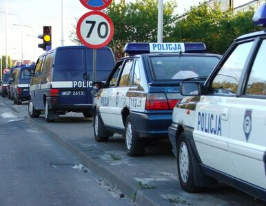 Miniatura: Policjant potrącił dziecko na pasach