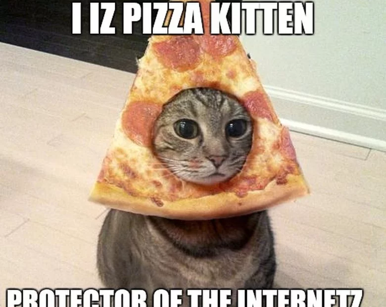 Miniatura: Jak internauci świętują światowy dzień...