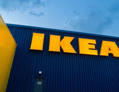 Miniatura: IKEA świętuje. Od 4 października otrzymasz...