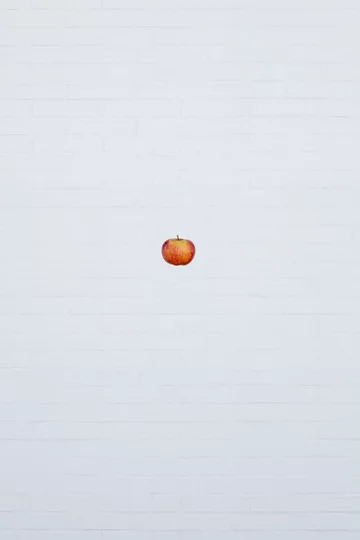 Destylarnia w Javornicach, projekt ADR Linka, Javornice, jabłka