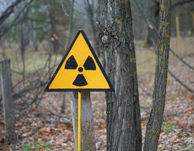 Miniatura: Próby jądrowe są maskowane? Sejsmolodzy w...