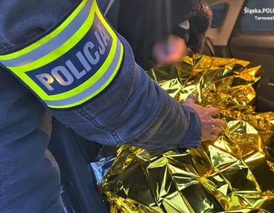 Miniatura: Zaginiona 14-latka wróciła już do ośrodka...