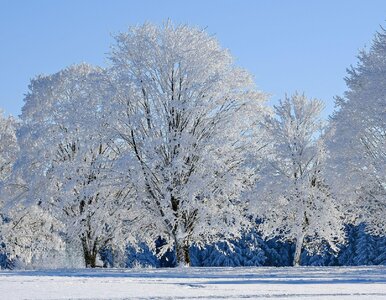Miniatura: Zimowy QUIZ z wiedzy ogólnej na styczniowy...