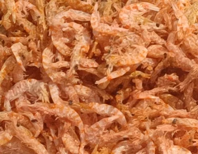 Miniatura: Nazywają go hitem PRL-u. Supermoc dla...